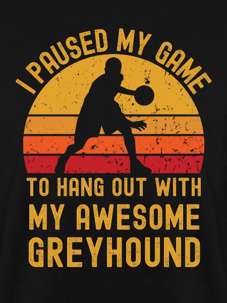 Basketball und Greyhound