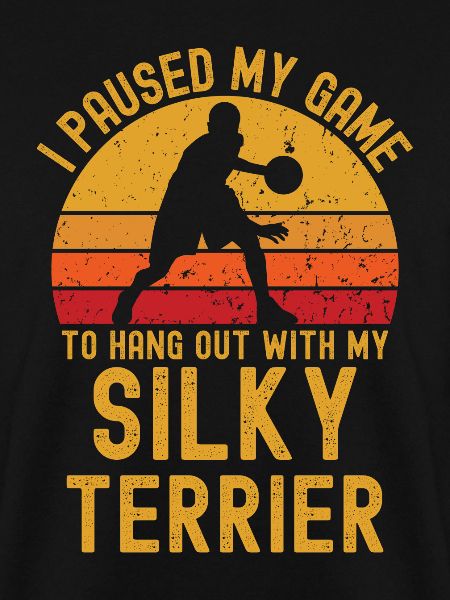 Basketball und Silky-Terrier