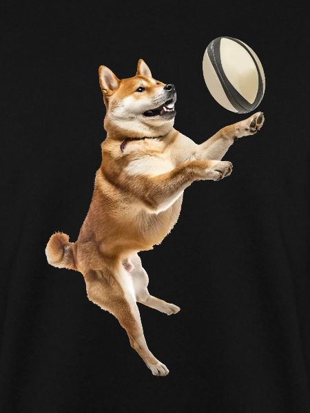 Shiba Inu