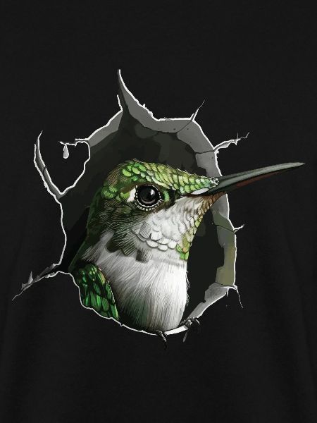 Kolibri