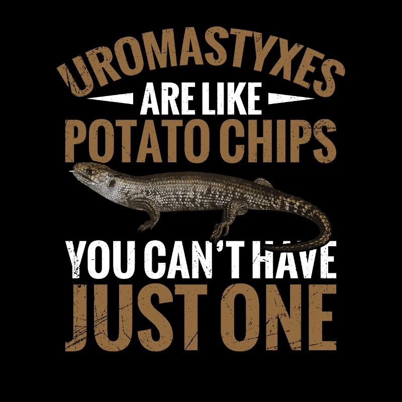 Uromastyxes are like potato chips that they