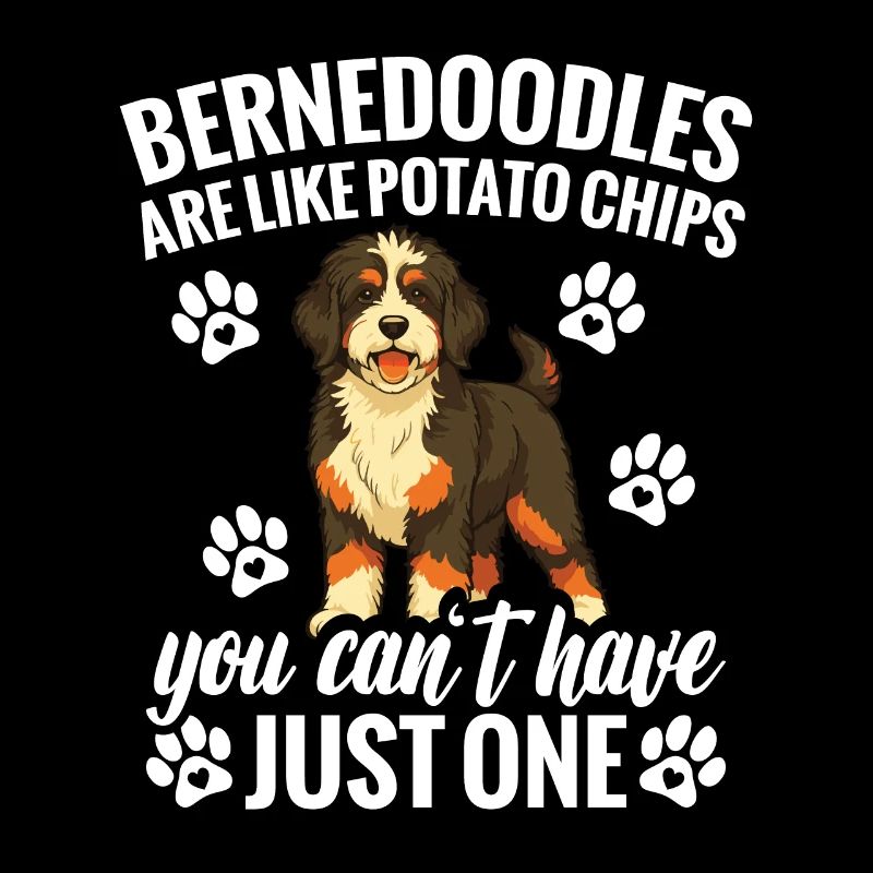 Bernedoodles are like potato chips that you can