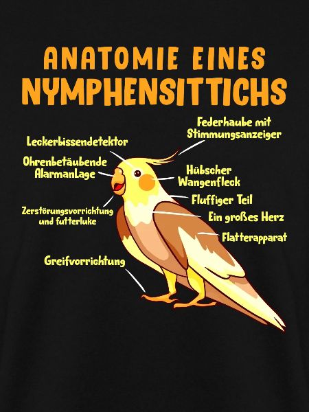 Anatomie eines Nymphensittichs Vogelfreund