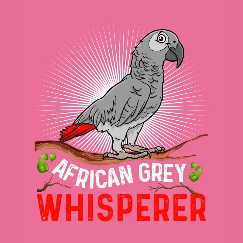 African Grey Whisperer Graupapagei Flüsterer
