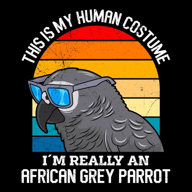 Perroquet gris d’Afrique Ceci est mon costume humain