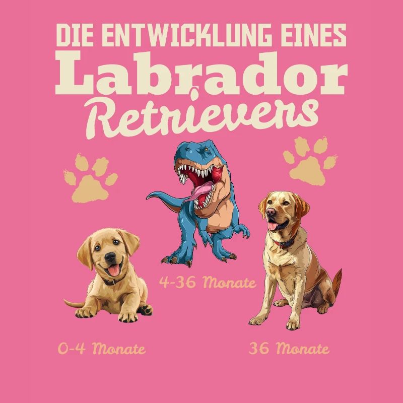 Hundebesitzer DIE EVOLUTION EINES LABRADOR