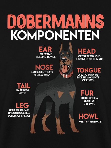 DOBERMANN KOMPONENTEN Anatomie Doberman