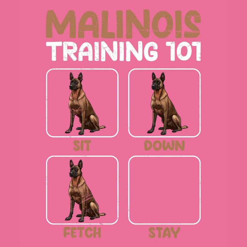 MALINOIS TRAINING 101 Belgian Shepherd