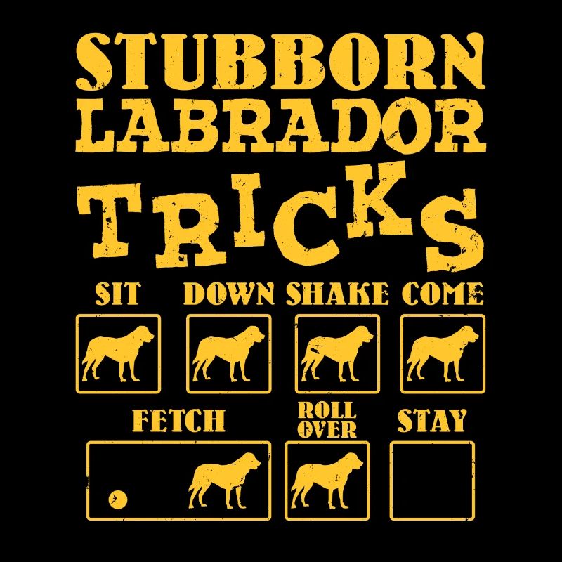 Labrador Propriétaire TRICKS LABRADOR TÊTU Drôle