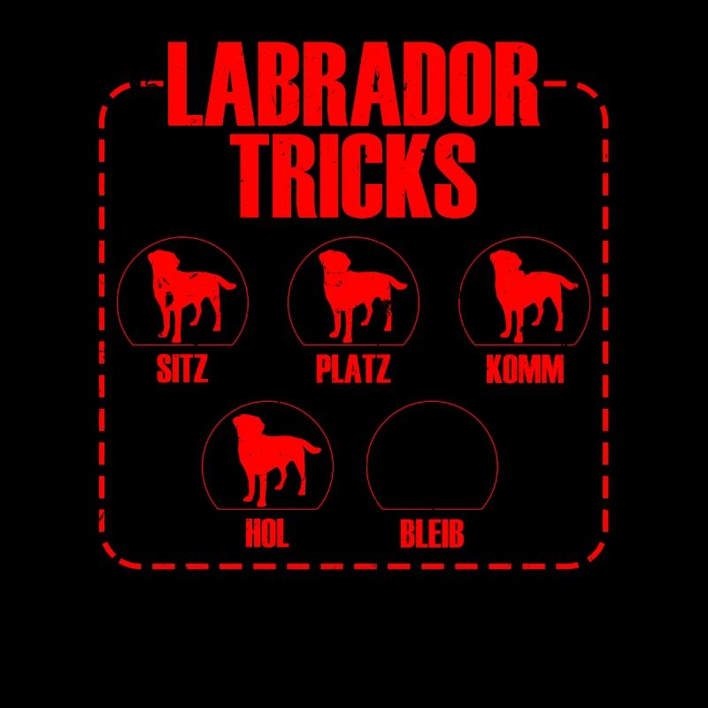 LABRADOR TRICKS Chien Labrador Retriever drôle