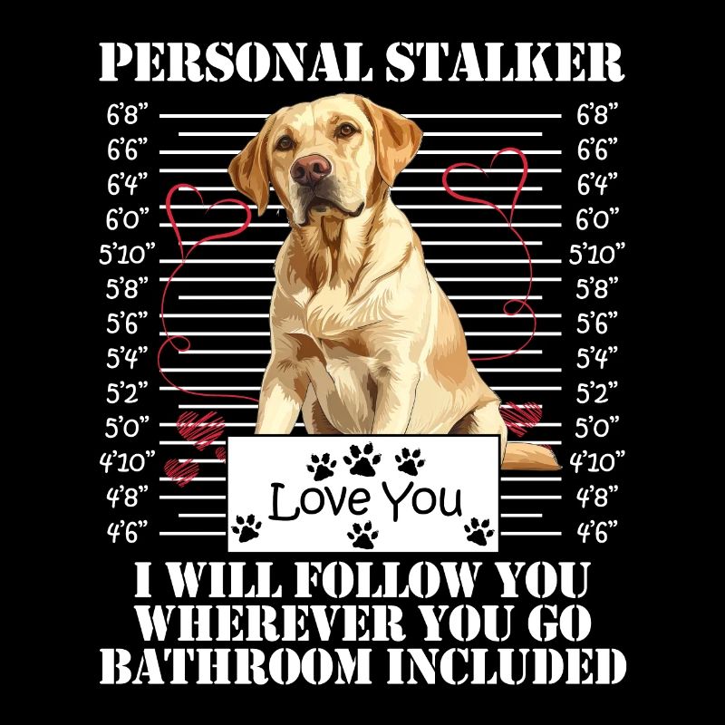 Chien Labrador PERSONAL STALKER JE TE SUIVRAI