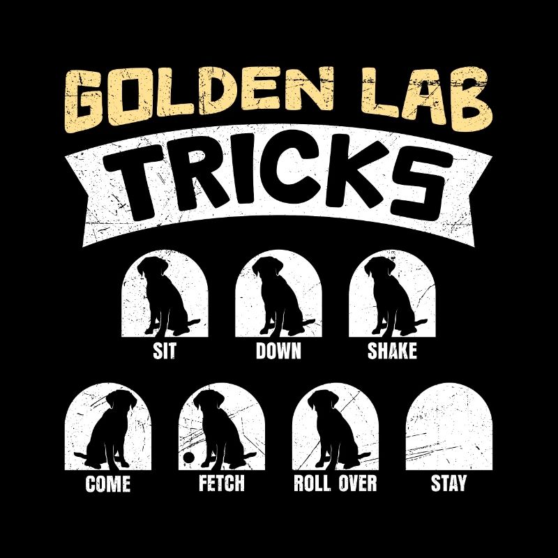 Labrador GOLDEN LAB TRICKS Labrador Hund Lustiges