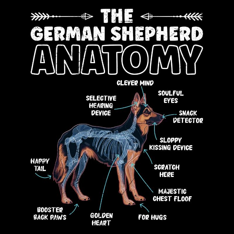 Schäferhund Fanartikel German Shepherd Anatomy
