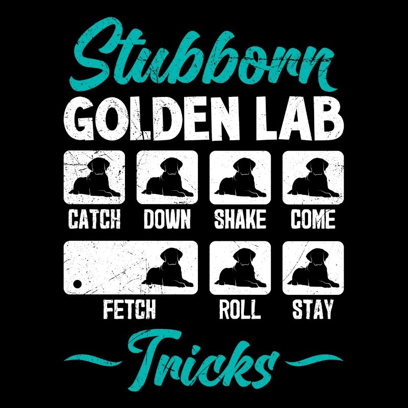 Labrador Stur STUBBORN GOLDEN LAB TRICKS Labrador