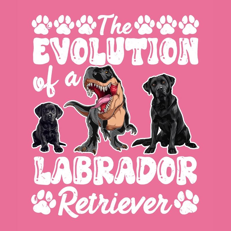 Propriétaires de chiens L’ÉVOLUTION D’UN LABRADOR