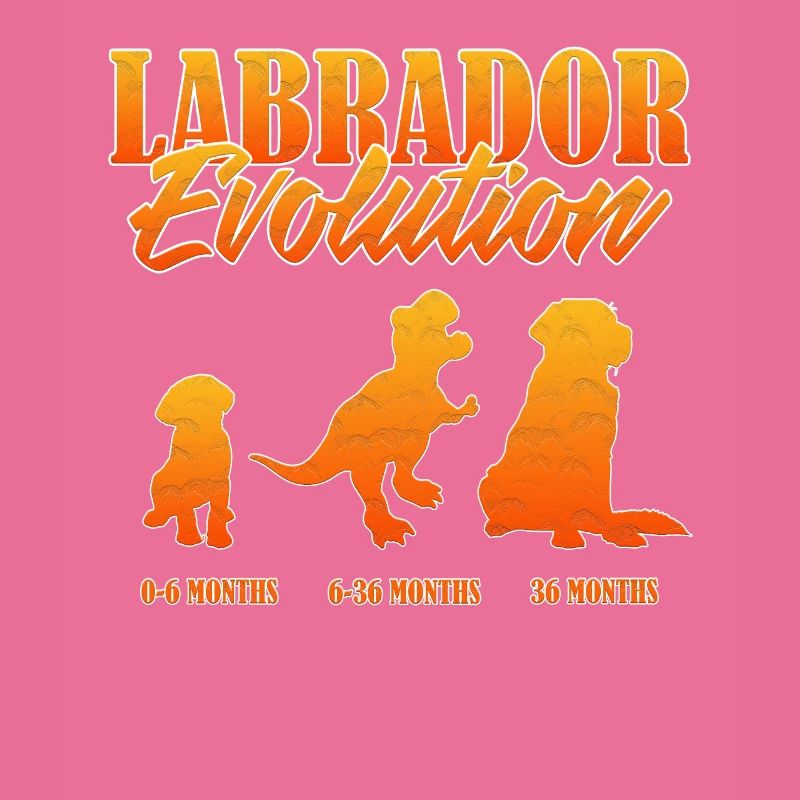 LABRADOR EVOLUTION Labrador Propriétaire Drôle