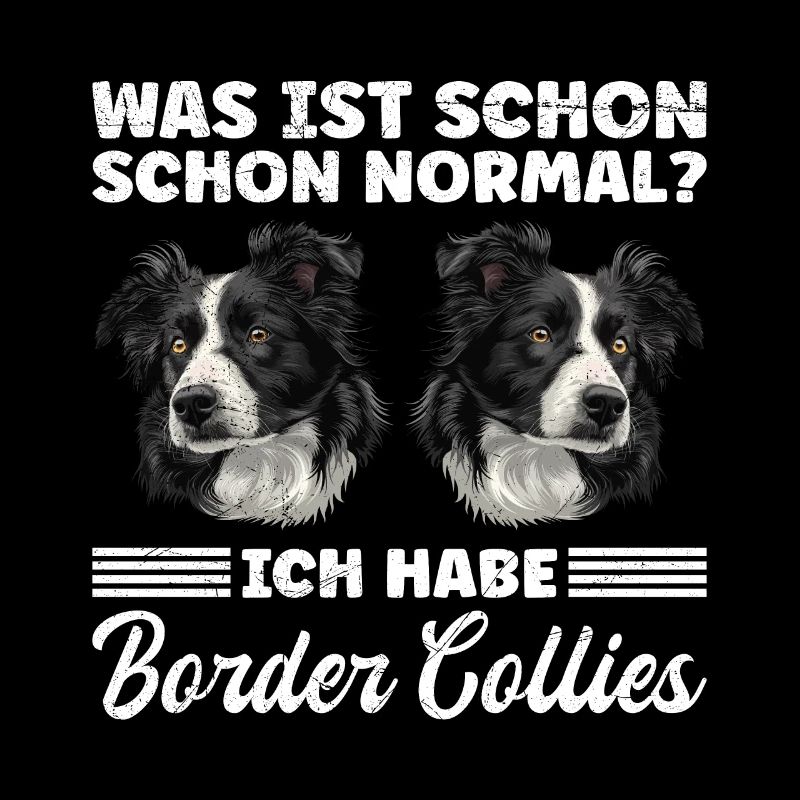 Border Collie WAS IST SCHON NORMAL? HABE BORDER