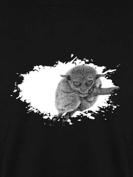 Tarsier Koboldmonkey Monkey