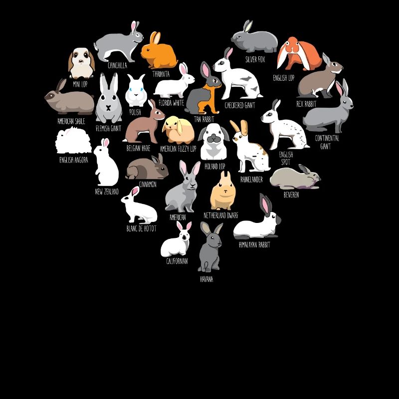 Lapins et lapins cadeau oreille de disquette de lapin