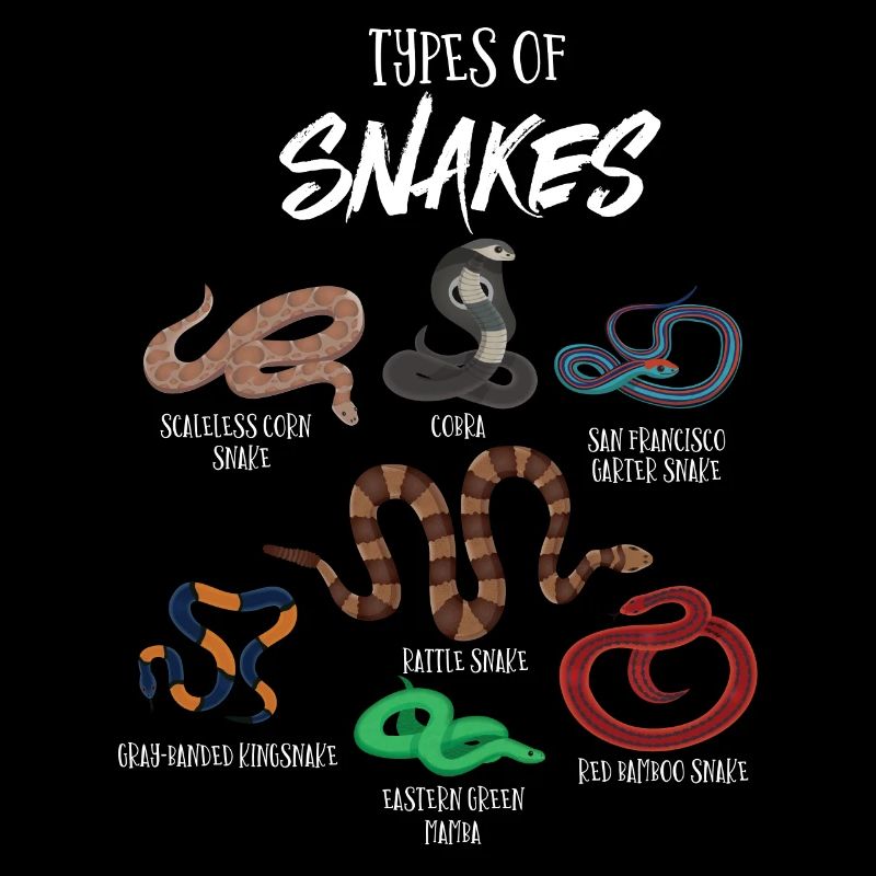 Types de serpents, Serpent, Types de serpents, Cobra