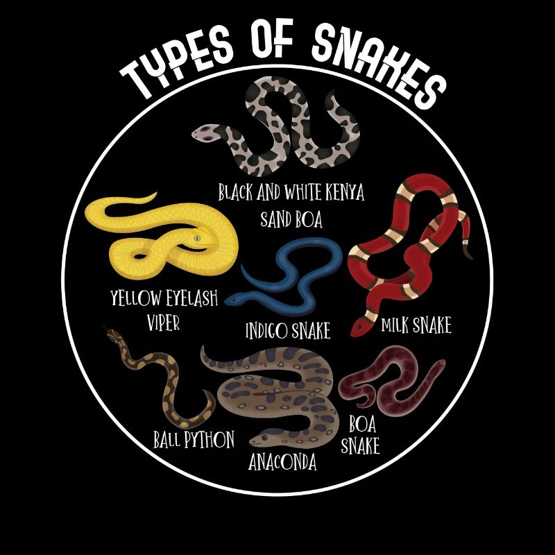 Types de serpents, Serpent, Types de serpents, Cobra
