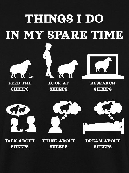 Sheep, sheep lovers, sheep