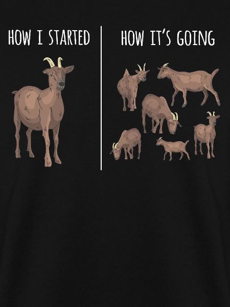 Goat, goats, goat lovers