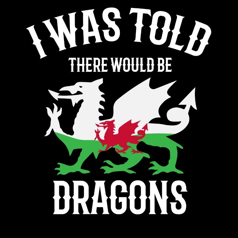I was told that there would be dragons