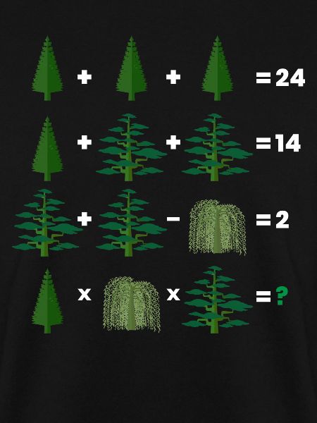 Math Teacher Equation