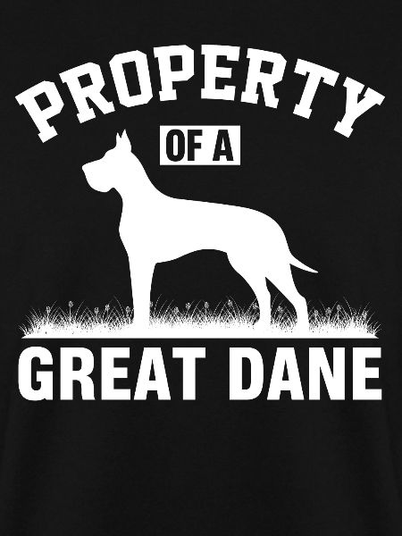Great Danes, Great Danes