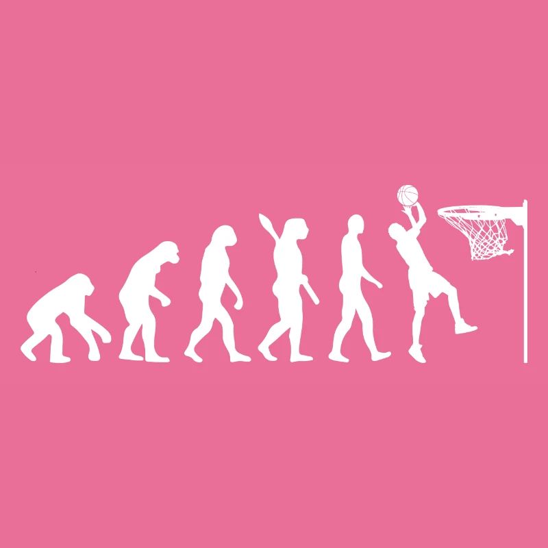 Jeu de basket-ball Evolution