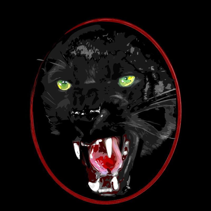 Chat de proie noir