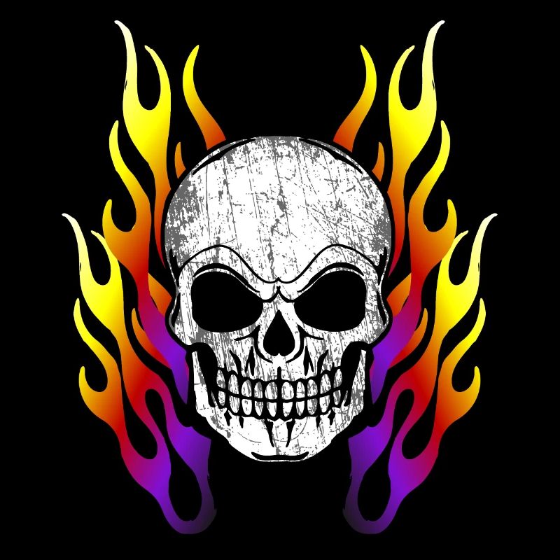 Fans de métal Rock Skull Flames Gift