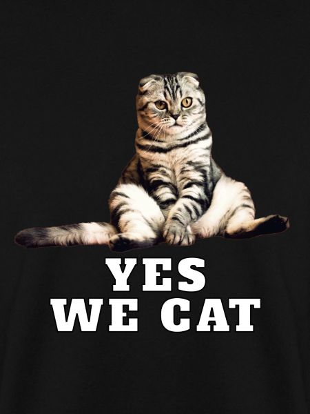 Katze – Yes We Cat
