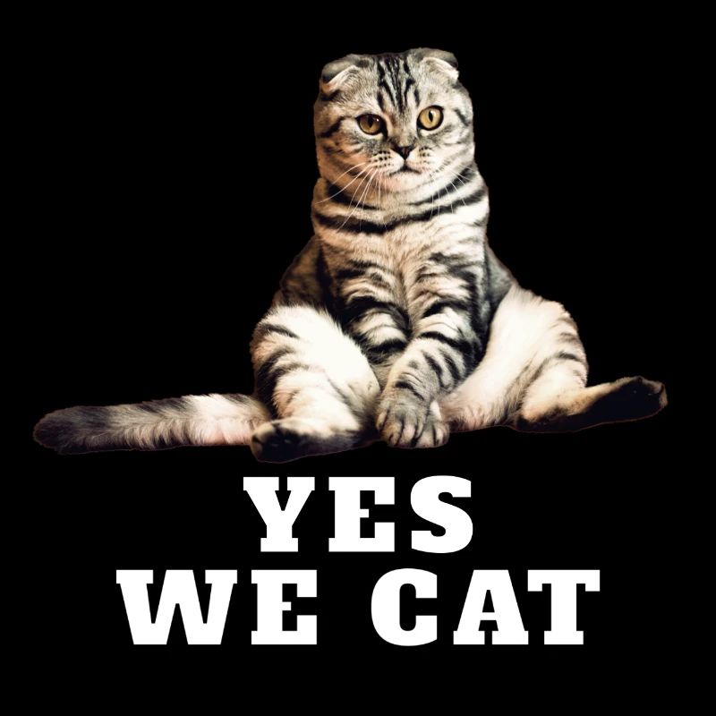 Katze – Yes We Cat