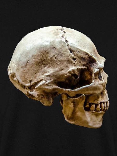 Skull – Skull