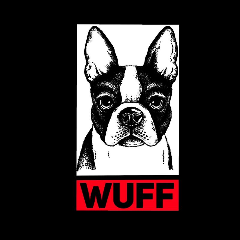 Boston terrier Wuff
