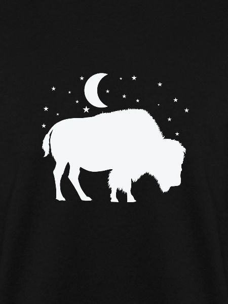 Bison im Mondschein