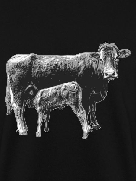 Kuh mit Kalb