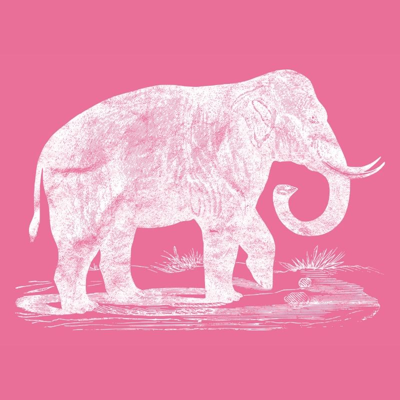 Elefant