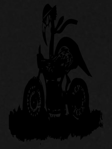RIDER Flamingo Clan