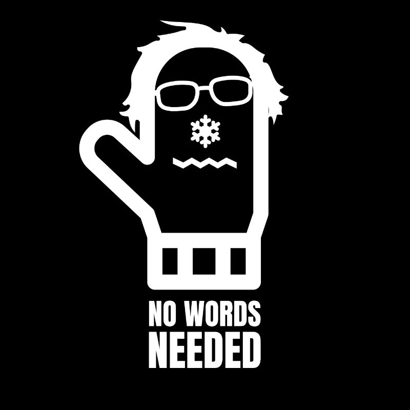 Bernie Sanders Fäustlinge Fausthandschuhe