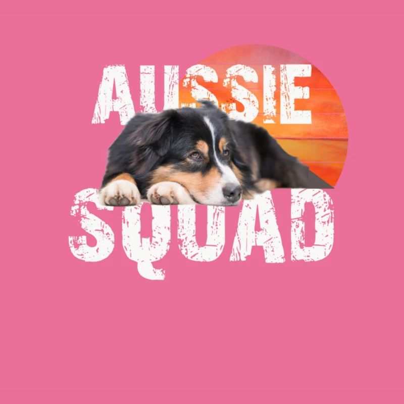 Australischer Schäferhund