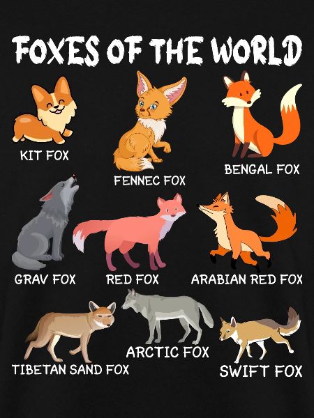 Fuchs Füchse Waldtier Rotfuchs