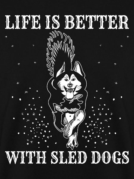 Alaska Mushing Hundeschlittenfahrer Huskies