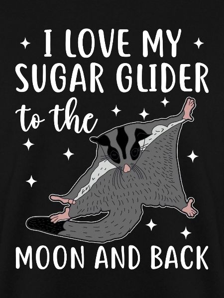Sugar glider