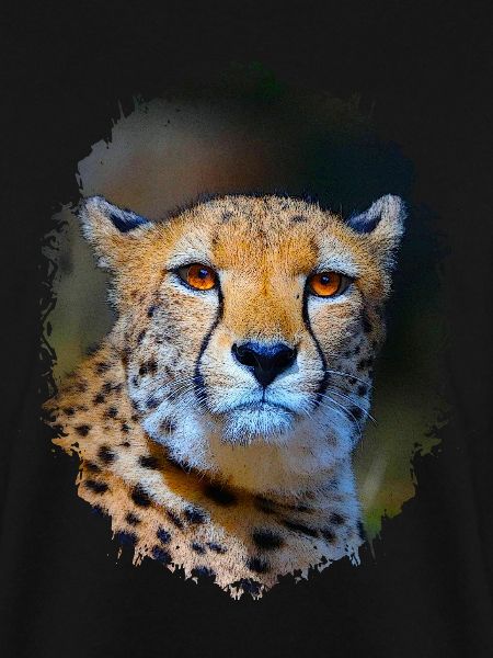 cheetah