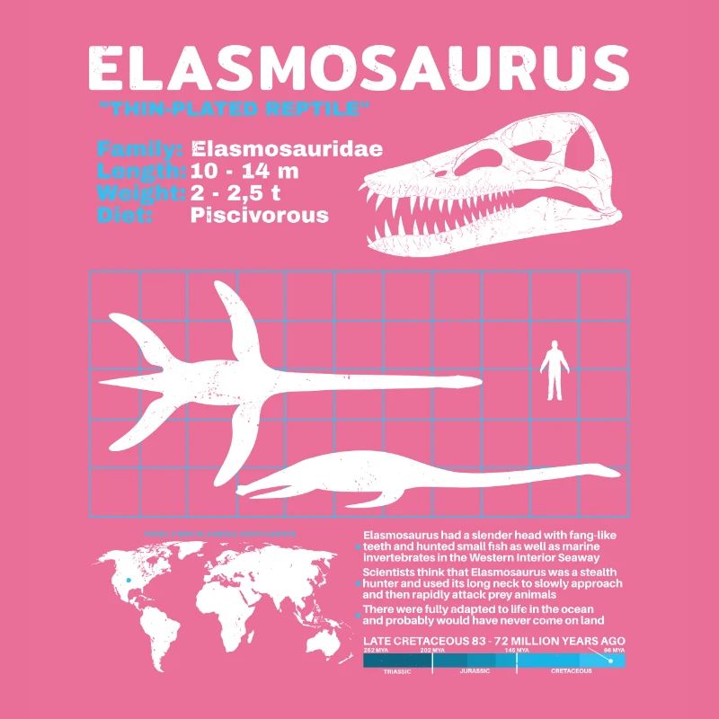 Fiche d’information sur Elasmosaurus