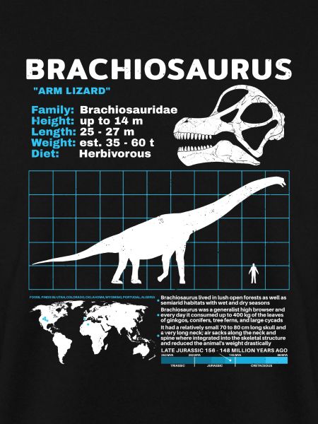 Brachiosaurus Datenblatt