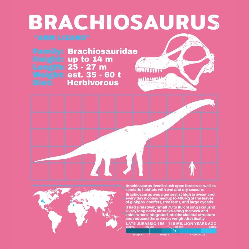 Fiche technique de Brachiosaurus